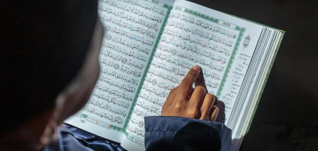 مفهوم التربية الإسلامية
