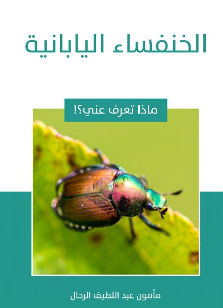 الخنفساء اليابانية