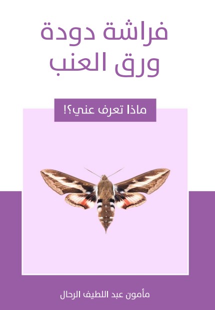 فراشة دودة ورق العنب