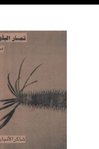 ثمار البلوط