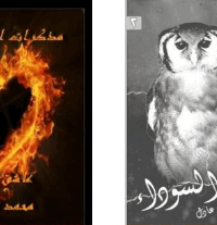 مذكرات إجرامية